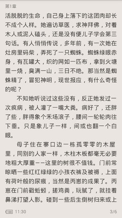 爱游戏是资助罗马